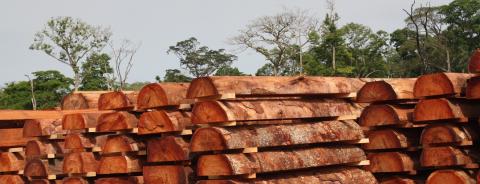 Corruption Index: Nine EU countries “unspecified risk” for timber legality