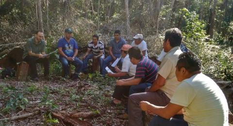 Updated report on alternatives to facilitate FSC certification for Community Forest Operations
