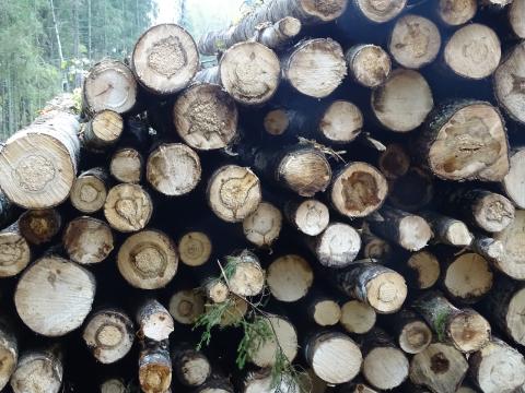 The FSC Controlled Wood system undergoes major change