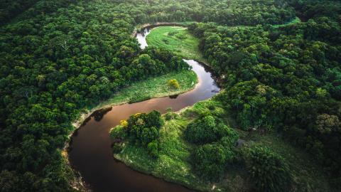 Approaching the EU Deforestation Regulation and traceability for the products in scope