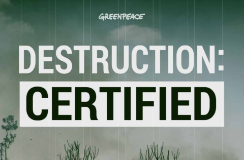 Contre la certification durable, les Rainbow Warriors ne prennent pas de gants