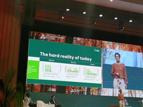 Jak FSC radzi sobie na świecie?