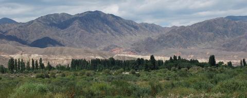 First forest management standard for Kyrgyz Republic