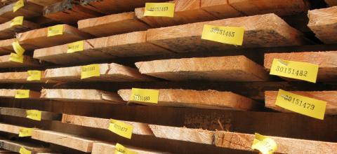 FSC to create online tool for timber traceability