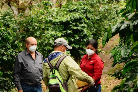 Diverse updates voor Rainforest Alliance certificaathouders 