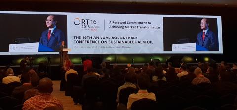 No deforestation standard in the new RSPO P&C 2018