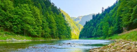 经认可，NEPCon已成为冰岛、挪威和列支敦士登的监测组织