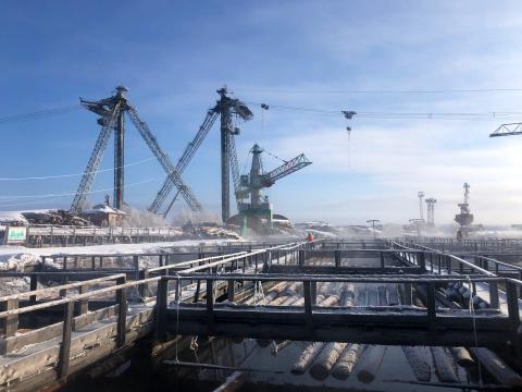 Ukraine invasion: A third of the world’s sustainable timber banned or sanctioned