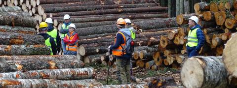 Overhaul of FSC’s control system: field performance