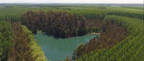 Ecosystem restoration: New site verified in Chile against restoration standard