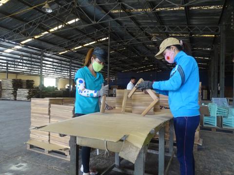 Nuevo curso en línea para para mejorar la legalidad de la madera importada en Vietnam