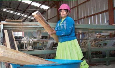 Breaking paradigms: Rarámuri women moving the equity needle in the forestry labour force
