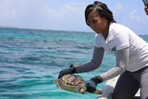 Roadmap to sustainability: A look into Catalonia Hotels & Resorts' responsible practices 