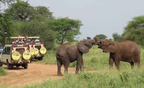 La importancia de una recuperación responsable del sector turístico