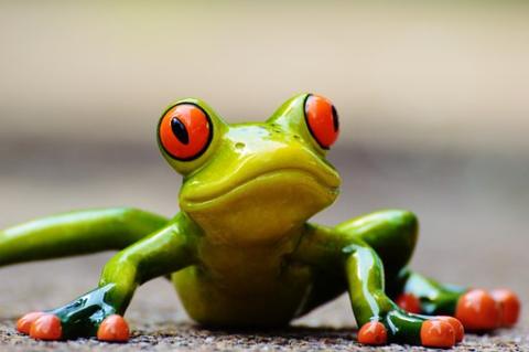 The Rainforest Alliance frog jumps in Europe