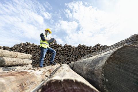 FSC-medlemmer opfordrer til en forbedring af Chain of Custody