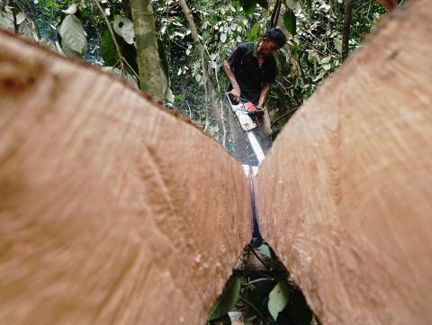 Where do our commodities come from? Science-based solutions help provide the answer