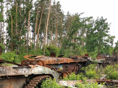 Le rêve d’une Ukraine verte