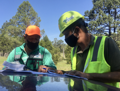 Fjernauditering – når det unormale bliver en ny “normal”