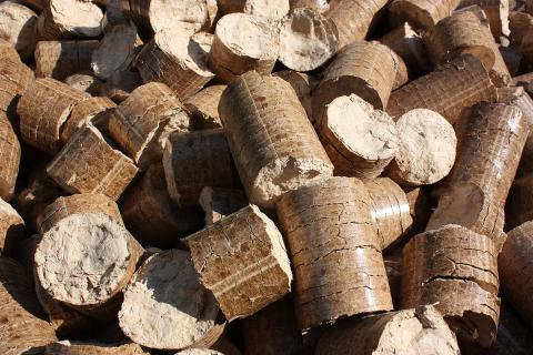 Latvian company earns first European certificate for responsible biomass