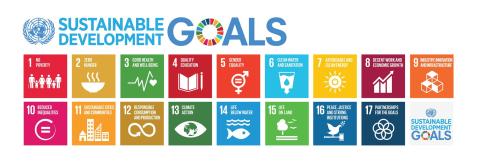 New study: SDGs can help companies spot unsustainable supply chains 