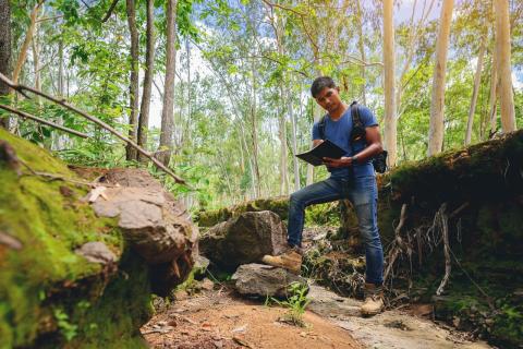 Un nou regulament impotriva despaduririlor va inlocui EUTR