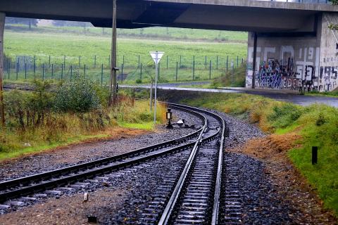  To stay or not to stay: FSC members take stock