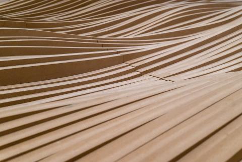 NEPCon e Imaflora brindarán servicios de certificación LegalSource™ en Brasil