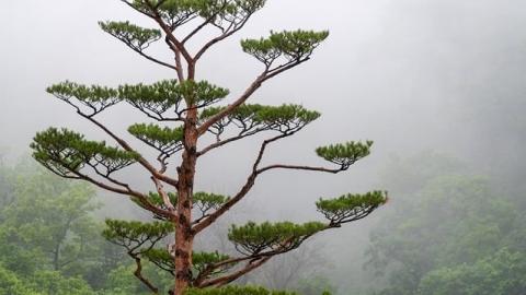 Zaktualizowaliśmy naszą Politykę Stowarzyszenia