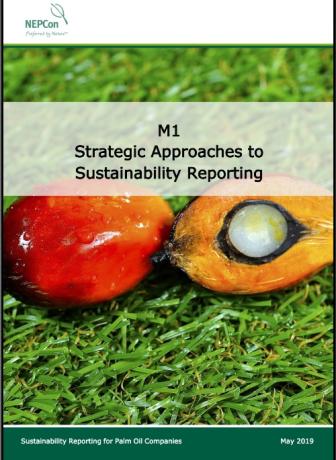 M1 Strategic Approaches to Sustainability Reporting