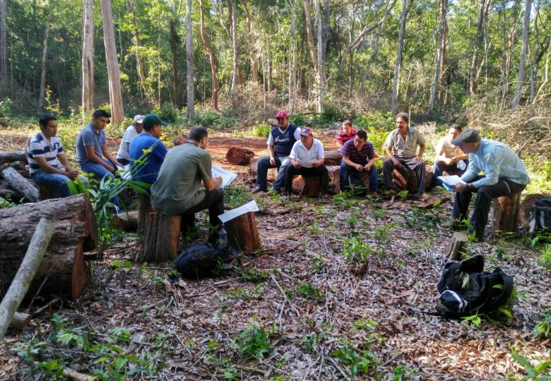 Delivering social and environmental benefits by involving communities in the FSC system