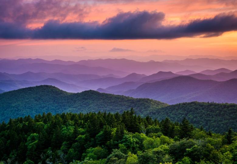 Forest Ecosystem Restoration Field Verification Standard