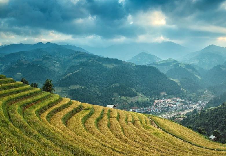 Styrkelse af indonesiske risfarmere med bæredygtige praksisser for forbedring af levebrød