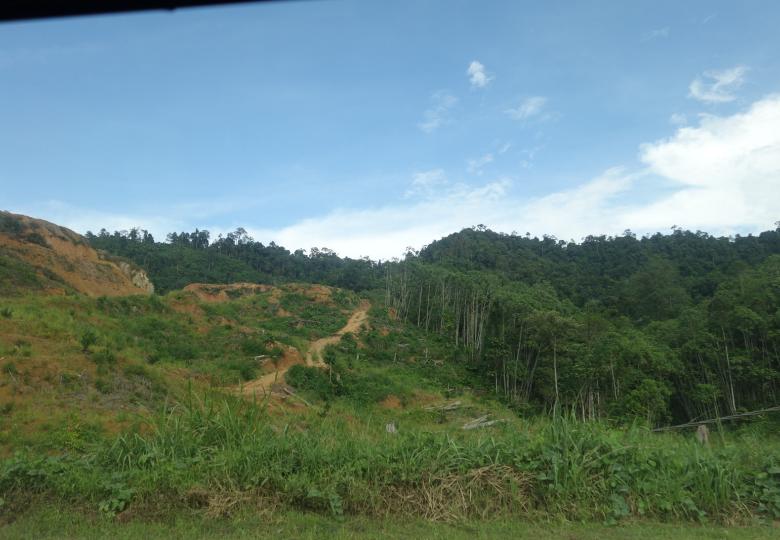 Preferred by Nature gennemfører midtvejsevaluering for Sabah Landscapes Programme, Malaysia