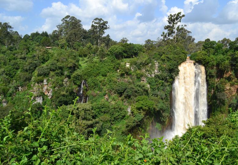 Independent Audit of the Timber Legality Assurance System in the Republic of Congo