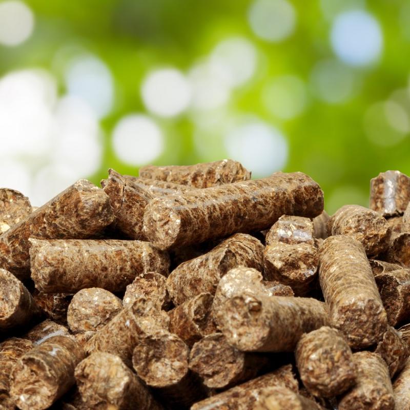 Fact check: Where does biomass come from?