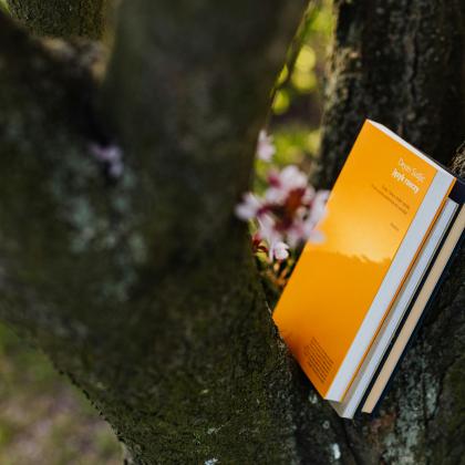 Framework vs other Standards