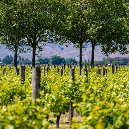 regenerative_agriculture