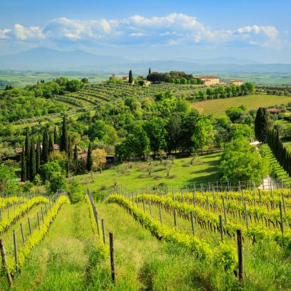 regenerative_agriculture_field