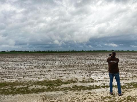 Regenerative agriculture and why farmers should abandon the plough