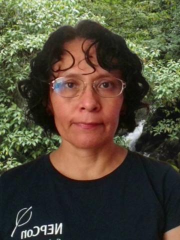 Rosario Ramírez Santiago