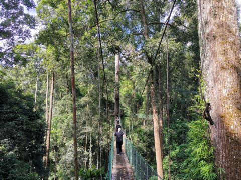 Malaui Basin Conservation Borneo