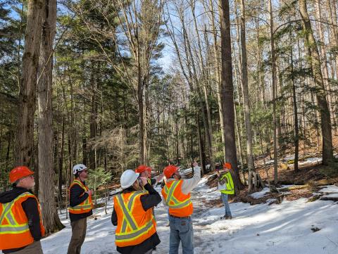York Region achieves world-first urban forestry certification under SFI standard