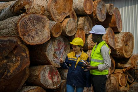 Blue collar workers are working at wood factory