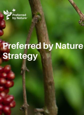 Preferred by Nature Strategy