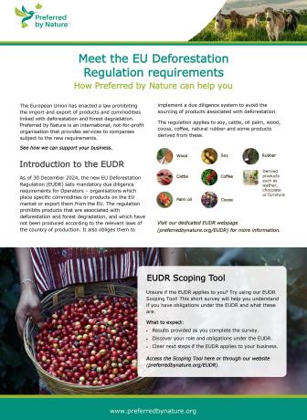 EUDR service infosheet