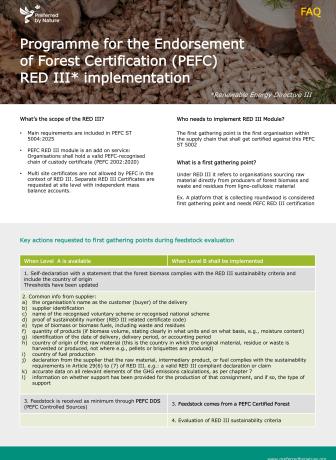 PEFC RED III Implementation outline