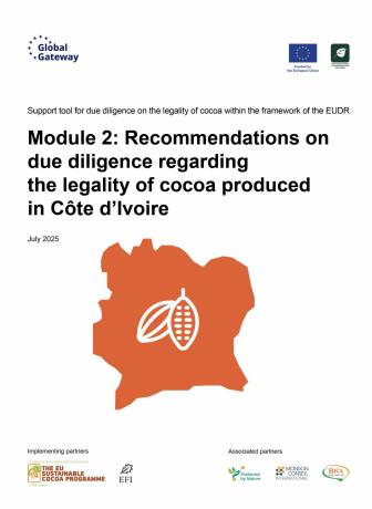 EFI_Mondon_BNA_PbN_Due Diligence cocoa RCI_2025