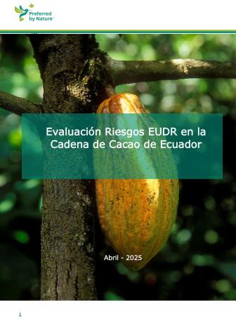PbN_Evaluación Riesgos EUDR en la Cadena de Cacao de Ecuador - Abril 2025