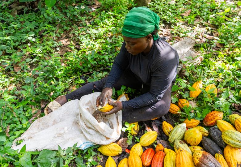 cocoa farmer woman